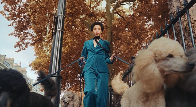 Big Autumn Energy, CANADA, 2025